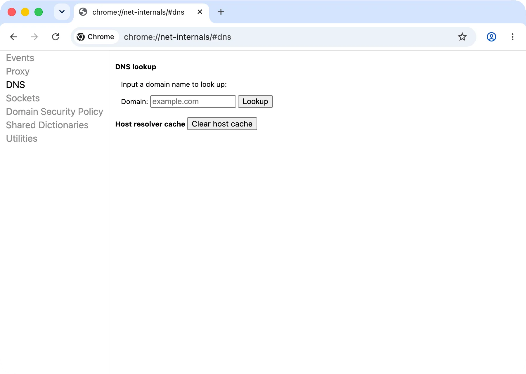 Chrome’s net-internals DNS page with the Clear host cache button