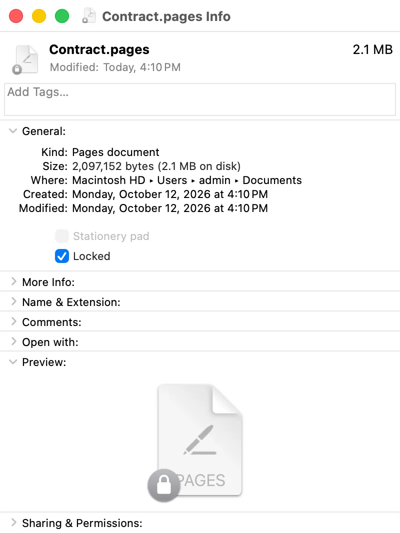The Info window of a locked file with the «Locked» checkbox