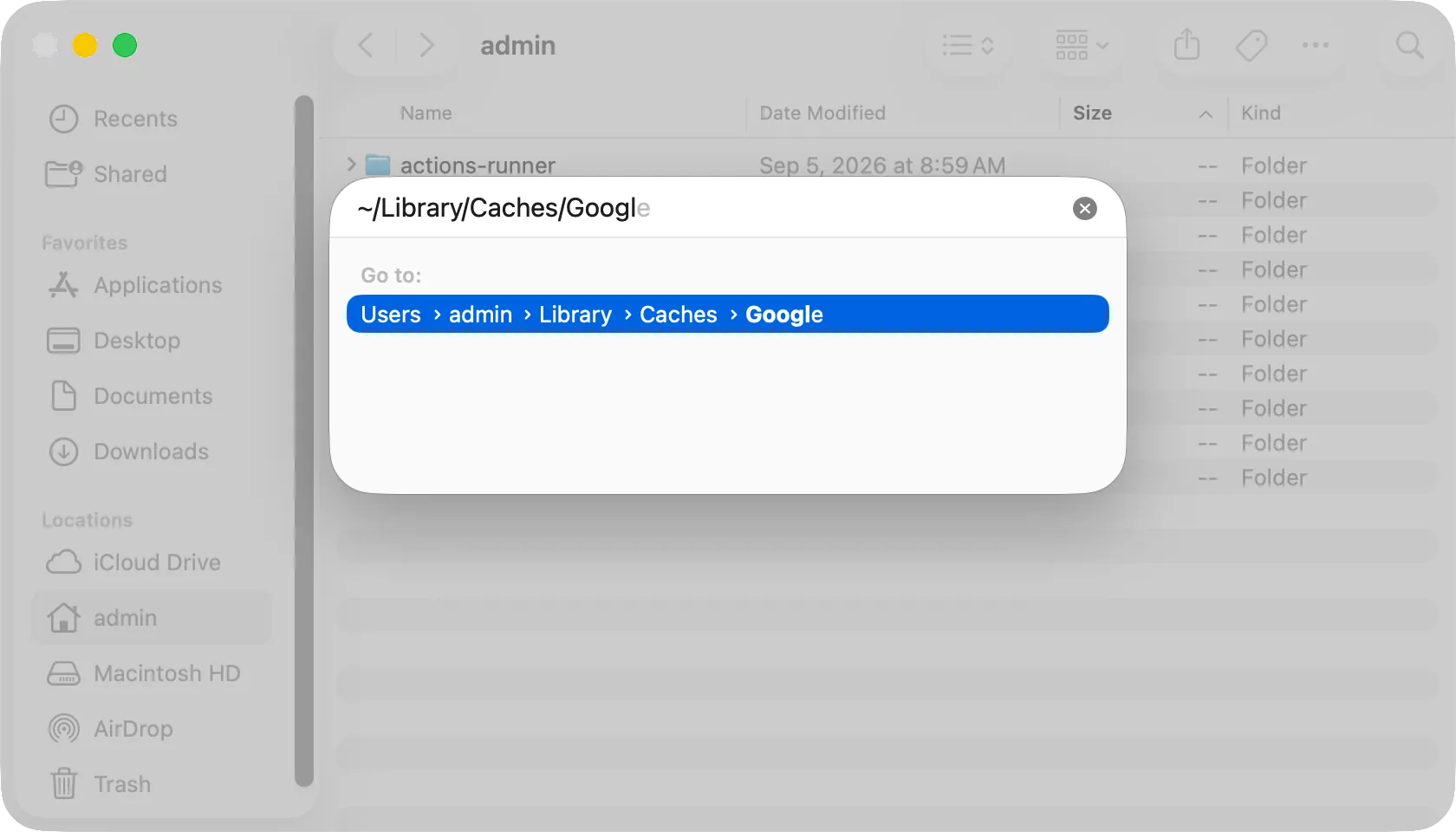Go to Folder with ~/Library/Caches/Google typed