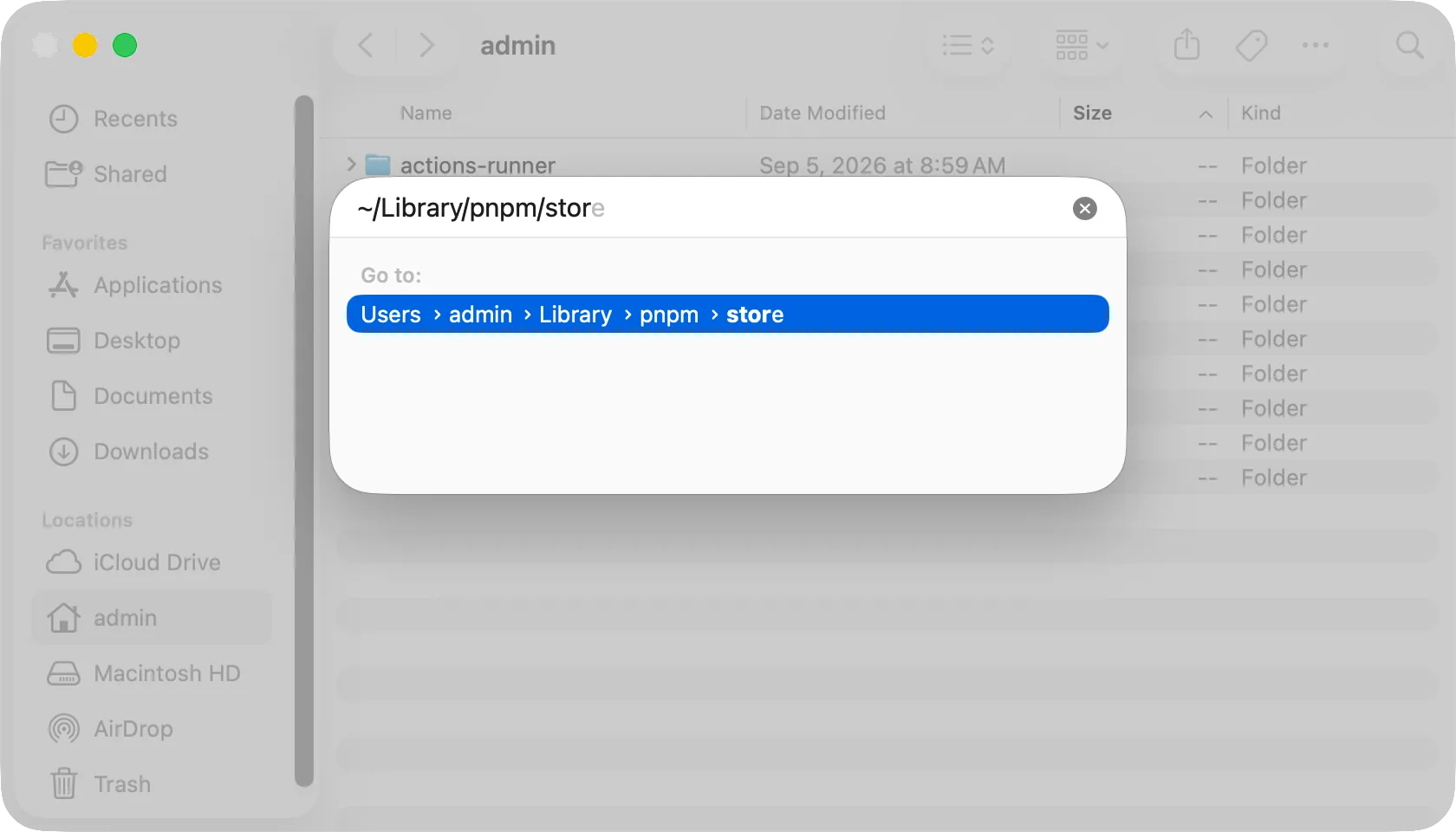 The Go to Folder panel with ~/Library/pnpm/store typed