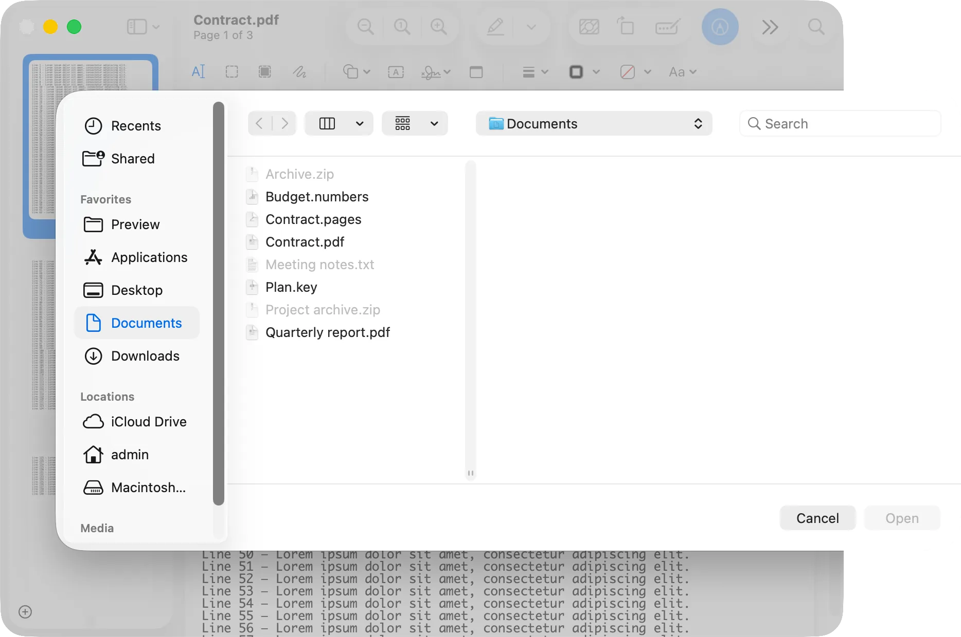 Choosing the PDF to insert, with the Open button