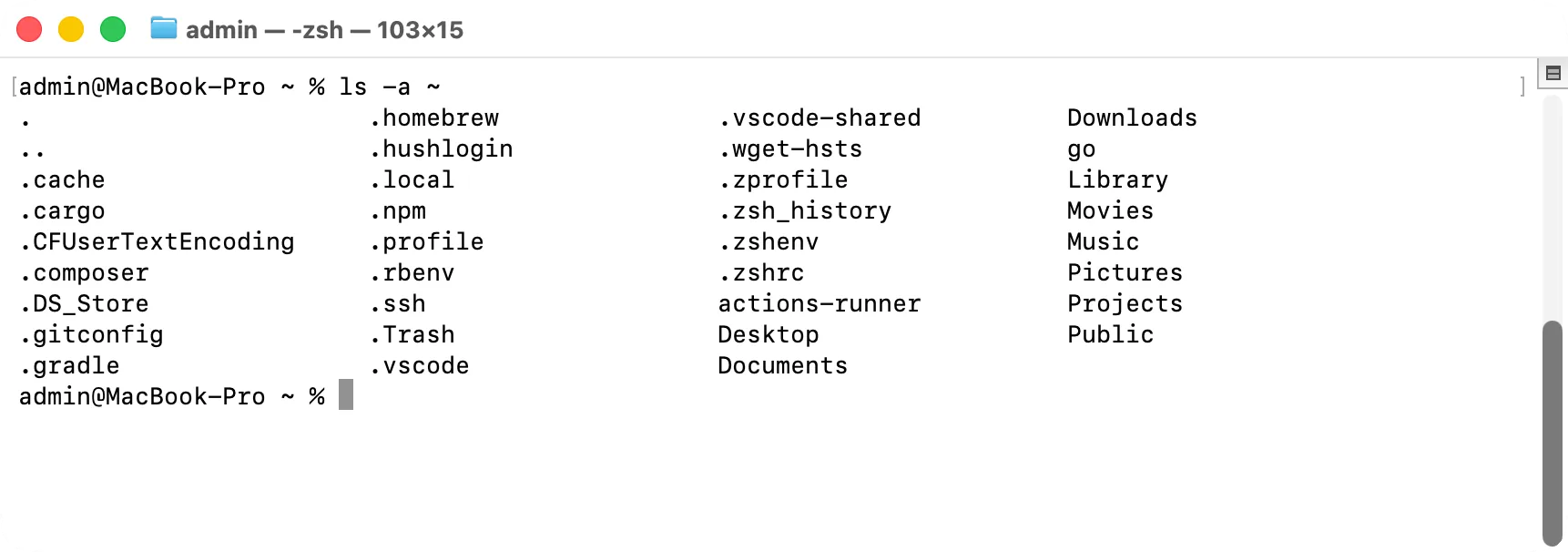 Terminal after ls -a ~: the home folder with hidden items starting with a dot