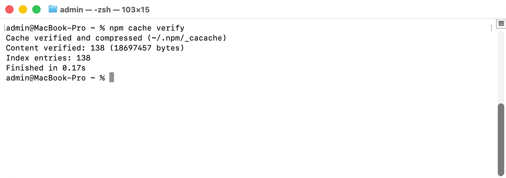 Terminal after npm cache verify: the number of cached files and their size