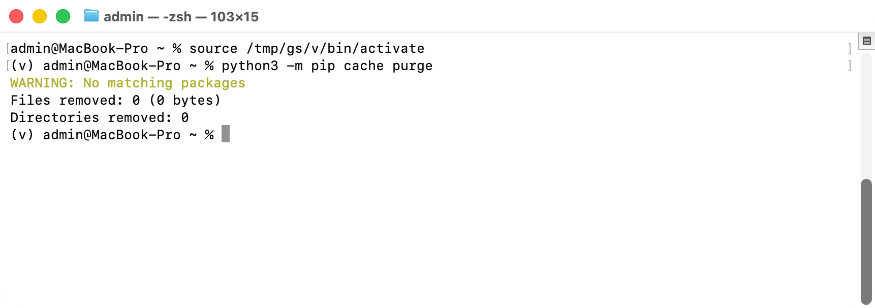 Terminal: pip cache purge reports how many files it removed and their size