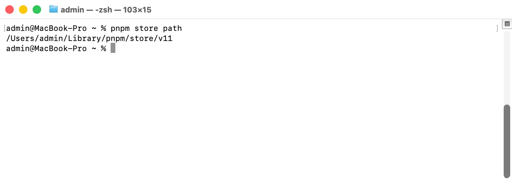 Terminal: pnpm store path prints the store folder in use