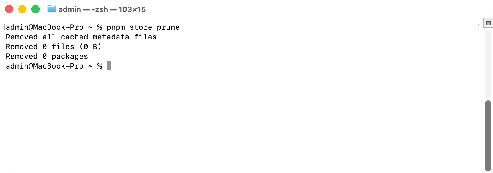 Terminal: pnpm store prune reports how many packages it removed