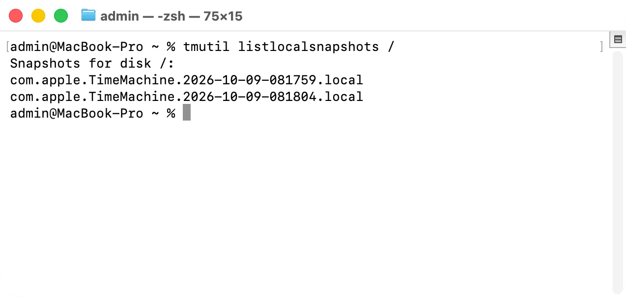 Terminal listing Time Machine local snapshots