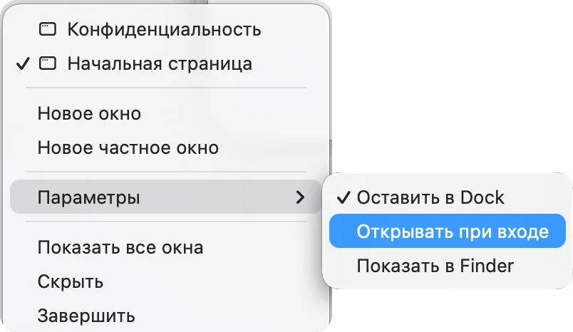 Меню значка в Dock: «Параметры › Открывать при входе»