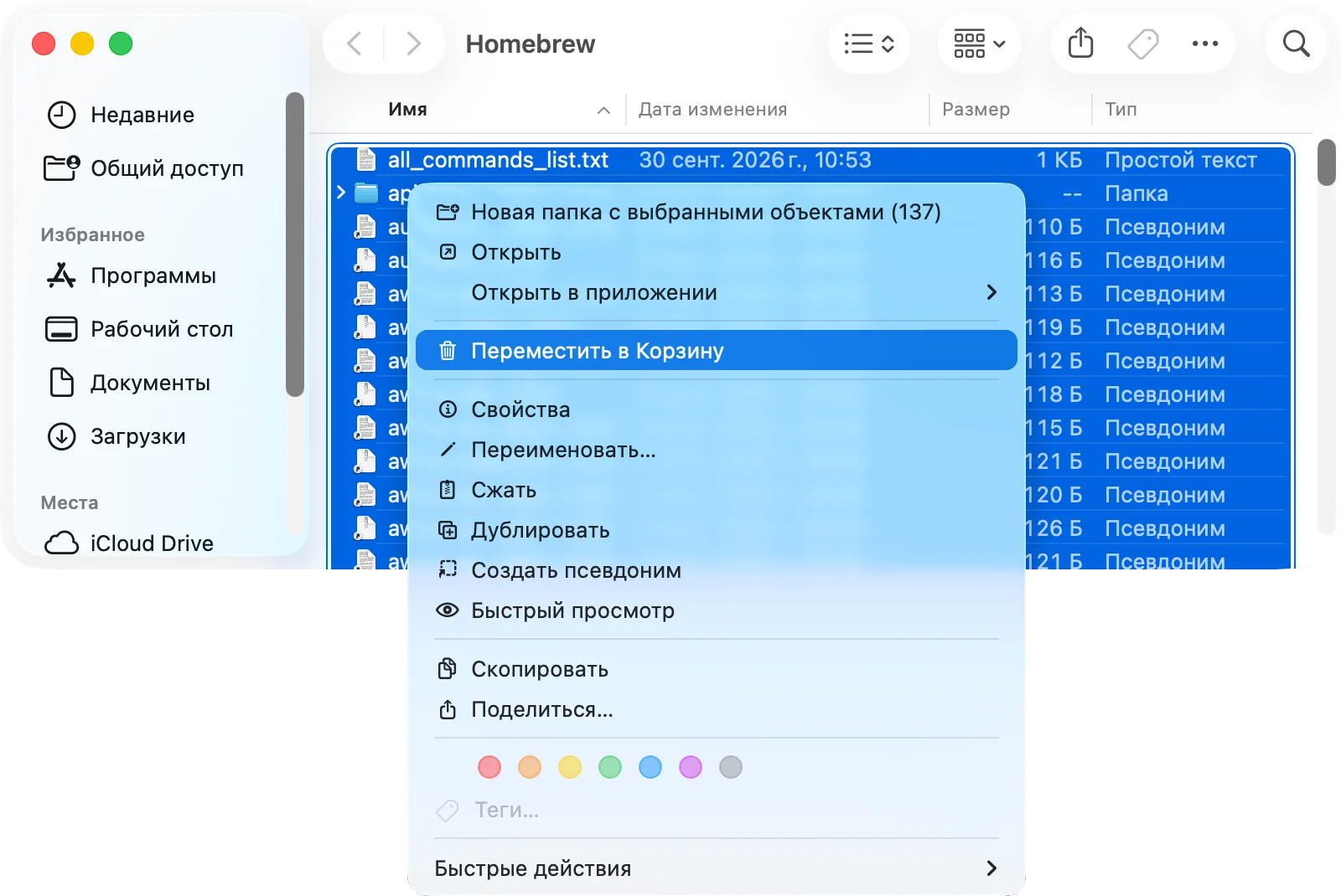 Выделенное содержимое папки кэша программы и пункт «Переместить в Корзину»