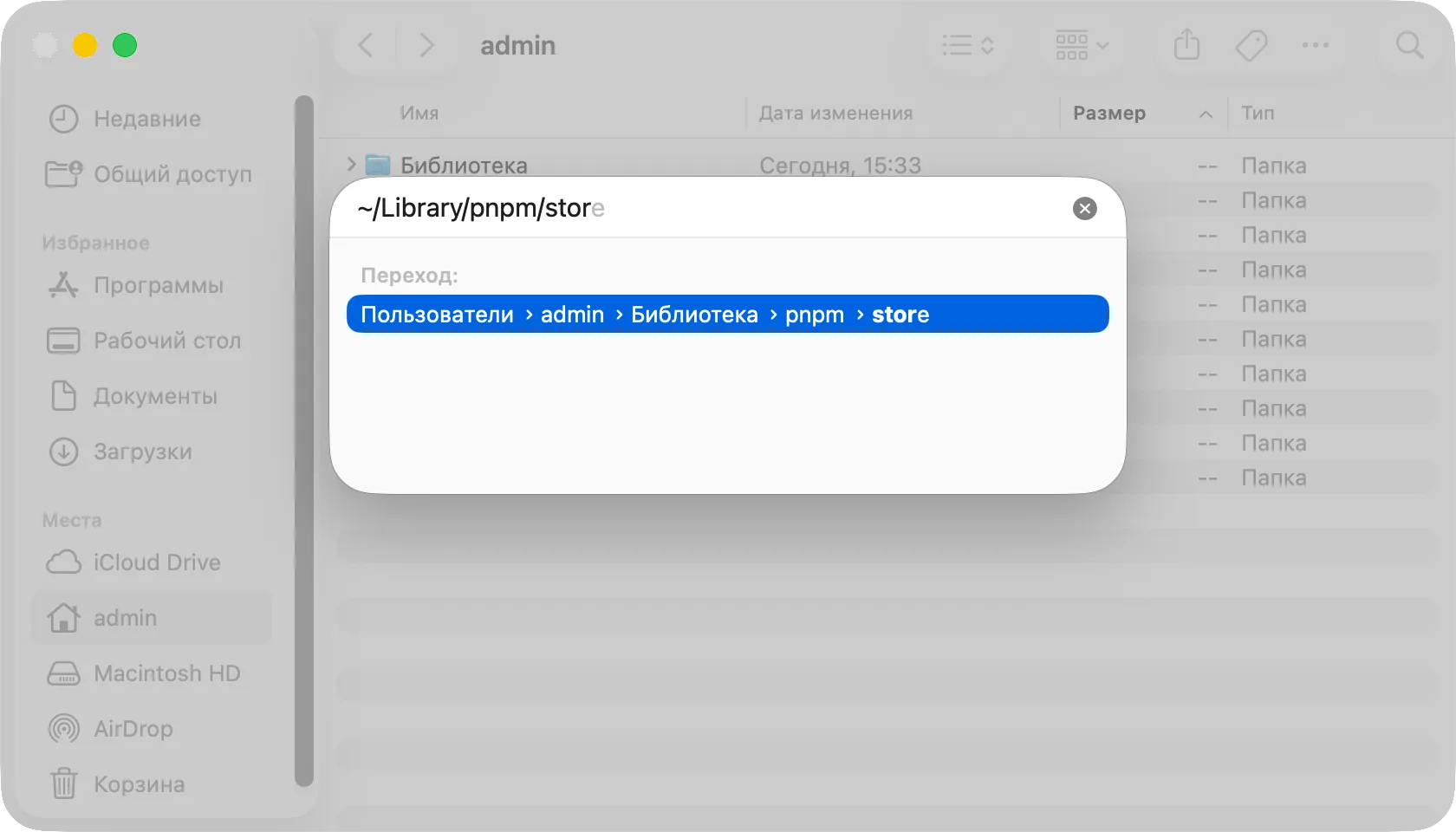 Панель «Переход к папке» с введённым ~/Library/pnpm/store