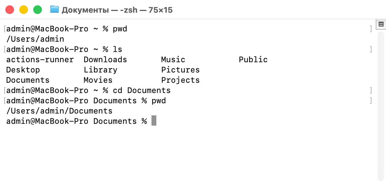 Терминал после pwd, ls и cd Documents