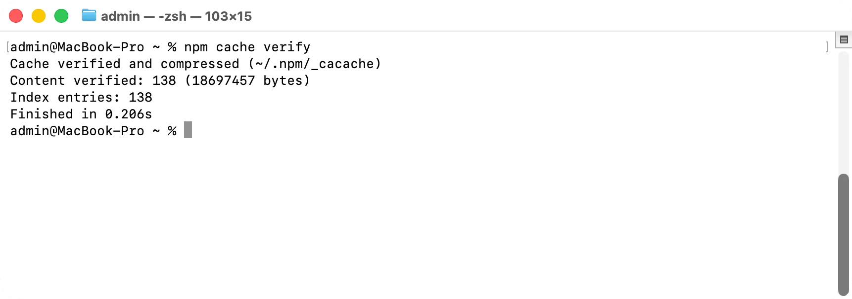 Терминал после npm cache verify: число файлов в кэше и их размер